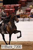 11buck_7200 thumbnail
