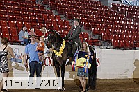 11buck_7202 thumbnail