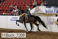 11buck_7209 thumbnail