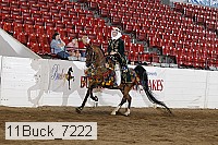 11buck_7222 thumbnail