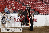 11buck_7229 thumbnail