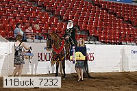 11buck_7232 thumbnail