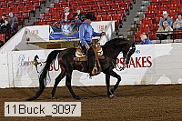 11buck_3097 thumbnail