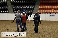 11buck_3104 thumbnail