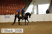 11buck_3105 thumbnail