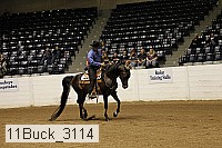 11buck_3114 thumbnail