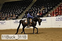 11buck_3118 thumbnail