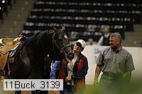 11buck_3139 thumbnail