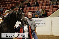 11buck_3146 thumbnail