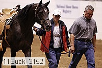 11buck_3152 thumbnail