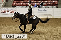 11buck_2204 thumbnail