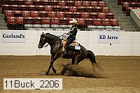 11buck_2206 thumbnail