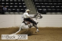 11buck_2208 thumbnail