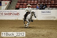 11buck_2212 thumbnail