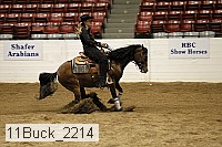 11buck_2214 thumbnail