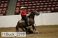 11buck_2219 thumbnail