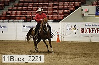 11buck_2221 thumbnail