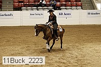 11buck_2223 thumbnail