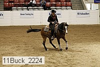 11buck_2224 thumbnail