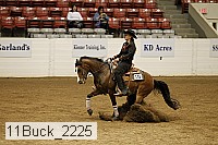 11buck_2225 thumbnail