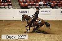 11buck_2227 thumbnail