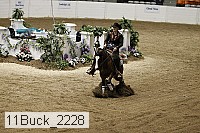 11buck_2228 thumbnail