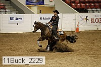 11buck_2229 thumbnail