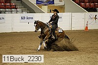 11buck_2230 thumbnail