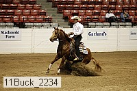 11buck_2234 thumbnail