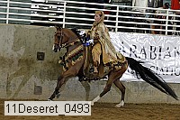 11deseret_0493 thumbnail