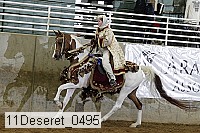 11deseret_0495 thumbnail