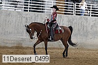 11deseret_0499 thumbnail