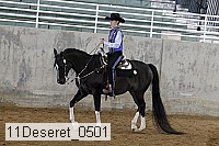 11deseret_0501 thumbnail