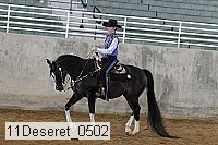 11deseret_0502 thumbnail