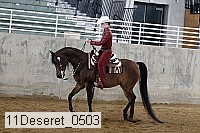 11deseret_0503 thumbnail