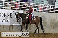 11deseret_0505 thumbnail