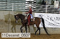 11deseret_0507 thumbnail