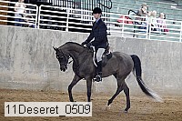 11deseret_0509 thumbnail