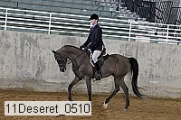 11deseret_0510 thumbnail