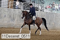 11deseret_0511 thumbnail