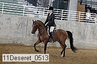11deseret_0513 thumbnail