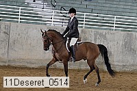 11deseret_0514 thumbnail