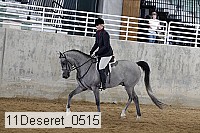 11deseret_0515 thumbnail