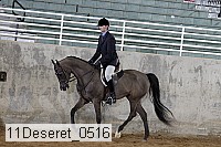 11deseret_0516 thumbnail