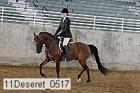 11deseret_0517 thumbnail