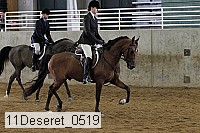 11deseret_0519 thumbnail