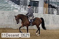 11deseret_0521 thumbnail
