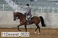 11deseret_0522 thumbnail