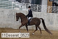 11deseret_0523 thumbnail