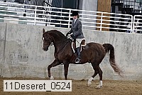 11deseret_0524 thumbnail